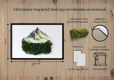 Bild moos Berggipfel über dem Wald