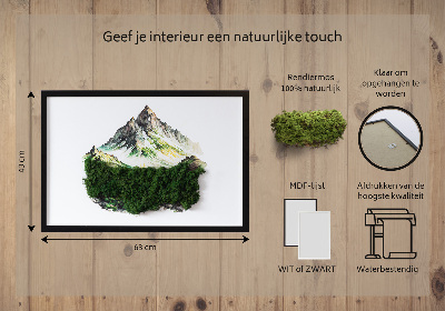 Bild moos Berggipfel über dem Wald