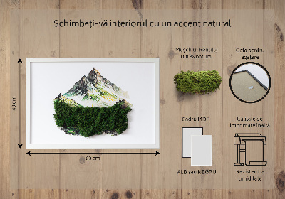 Bild moos Berggipfel über dem Wald