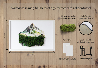 Bild moos Berggipfel über dem Wald