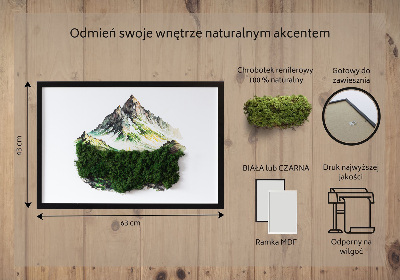 Bild moos Berggipfel über dem Wald