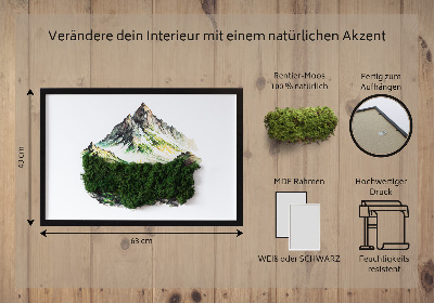 Bild moos Berggipfel über dem Wald