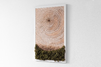 Stylegreen moosbild Holzmaserung