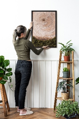 Stylegreen moosbild Holzmaserung