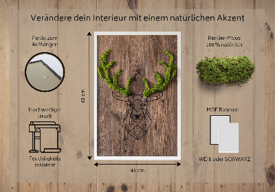 Moosbild wand Hirsch auf hölzernem Hintergrund