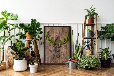 Moosbild wand Hirsch auf hölzernem Hintergrund