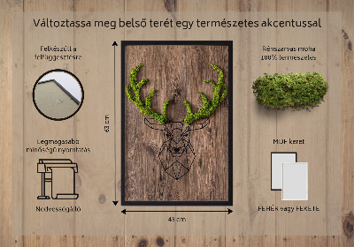 Moosbild wand Hirsch auf hölzernem Hintergrund