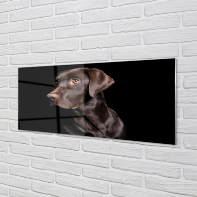 Glasbilder Brauner hund