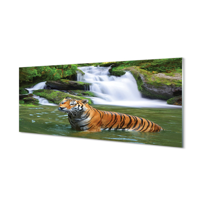Glasbilder Fallendem wasser tiger