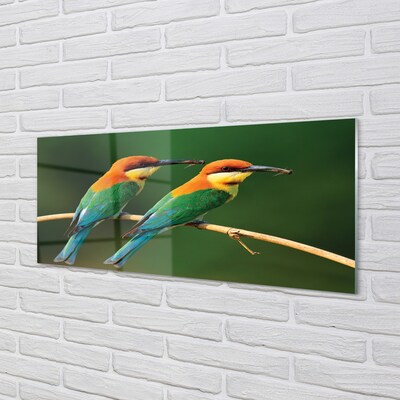 Glasbilder Papagei auf einem zweig gefärbt