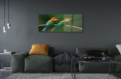 Glasbilder Papagei auf einem zweig gefärbt