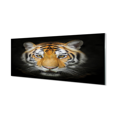 Glasbilder Tiger