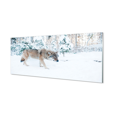 Glasbilder Loup winterwald