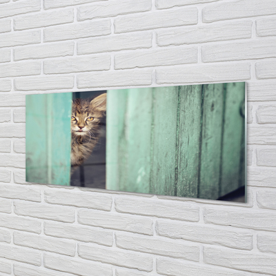 Glasbilder Katze zaglądający