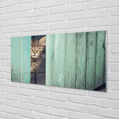 Glasbilder Katze zaglądający