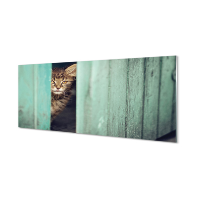 Glasbilder Katze zaglądający