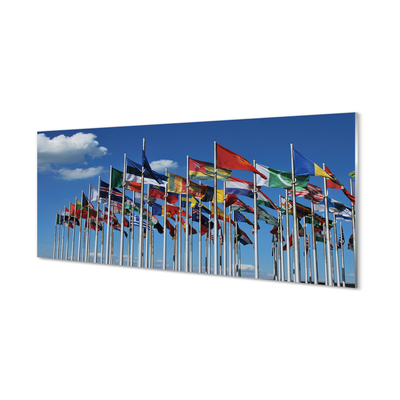 Glasbilder Verschiedene flags
