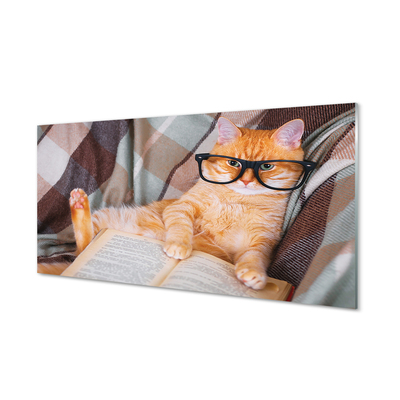 Glasbilder Der leser katze