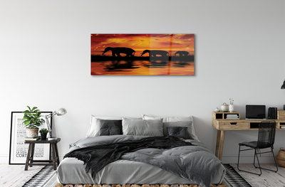Glasbilder West lake elefanten