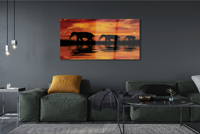 Glasbilder West lake elefanten