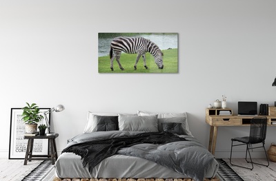 Glasbilder Zebra