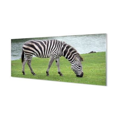 Glasbilder Zebra