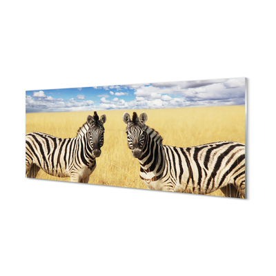Glasbilder Zebra-box