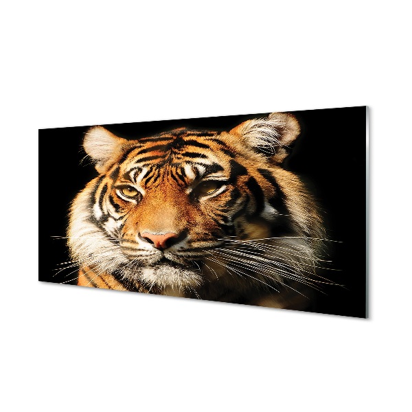 Glasbilder Tiger