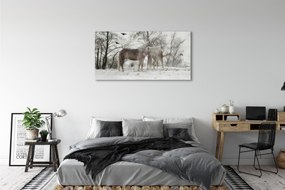 Glasbilder Unicorns winterwald