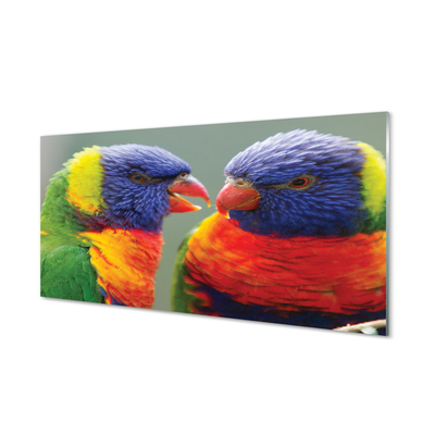 Glasbilder Bunter papagei