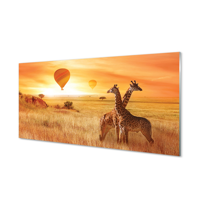 Glasbilder Ballon-himmel-giraffe