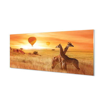 Glasbilder Ballon-himmel-giraffe