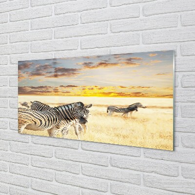 Glasbilder Sonnenuntergang auf dem feld zebra