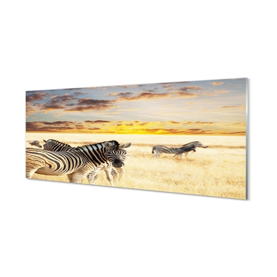 Glasbilder Sonnenuntergang auf dem feld zebra