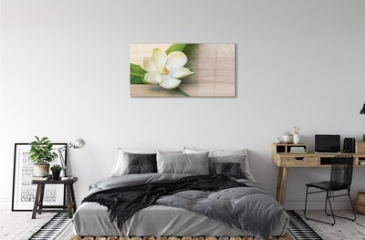 Glasbilder Weiße magnolie