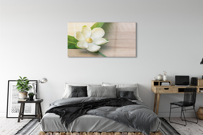 Glasbilder Weiße magnolie