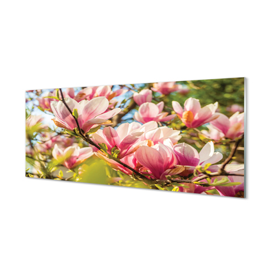 Glasbilder Rosa magnolias