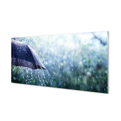 Glasbilder Regenschirm regentropfen