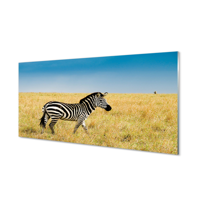 Glasbilder Zebra-box