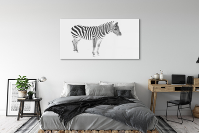 Glasbilder Painted zebra
