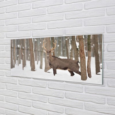 Glasbilder Deer winterwald