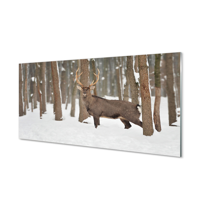 Glasbilder Deer winterwald
