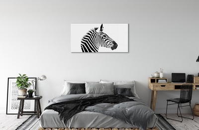 Glasbilder Illustration von zebra