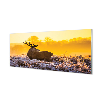 Glasbilder Deer sonnenaufgang wintersonne