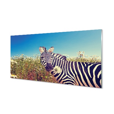 Glasbilder Zebra blumen