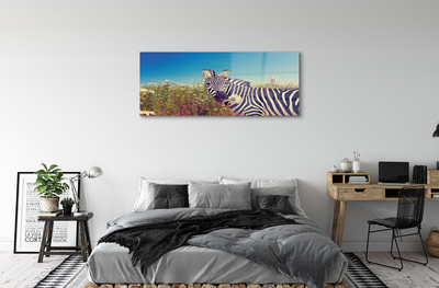 Glasbilder Zebra blumen