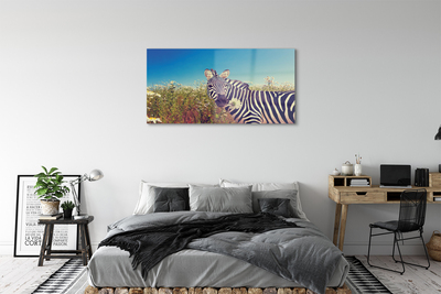 Glasbilder Zebra blumen