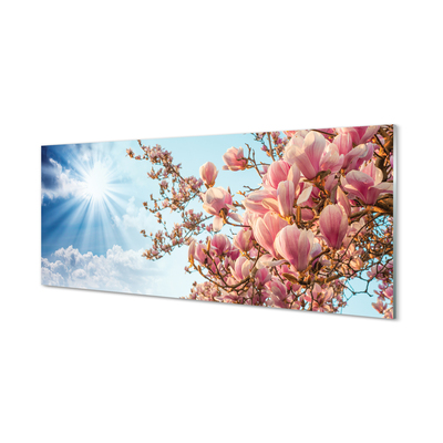 Glasbilder Himmel sonne magnolia
