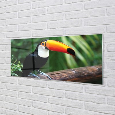 Glasbilder Toucan auf einem ast