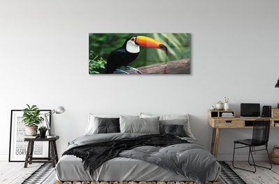 Glasbilder Toucan auf einem ast